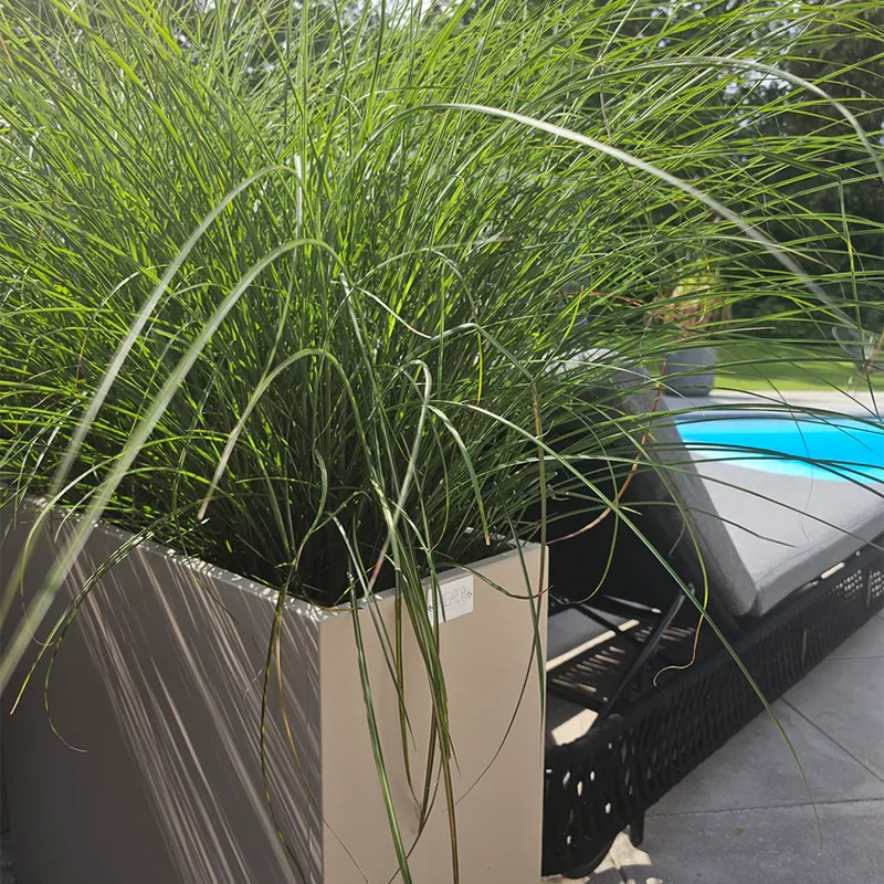 Rectangular Outdoor Planter with Drainage Holes Rectangular Outdoor Planter with Drainage Holes